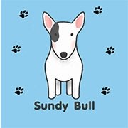 Bullterrier by Sundy Bull